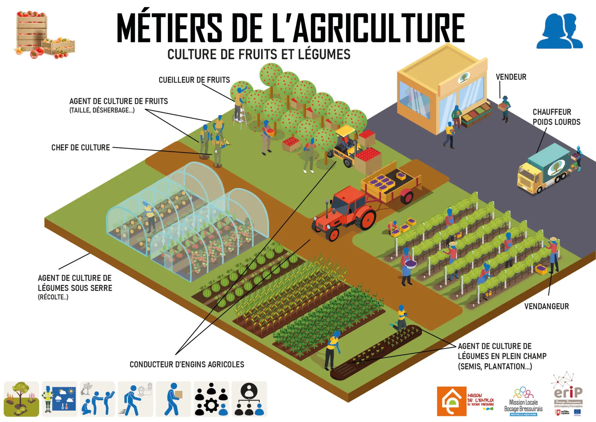 culture-fruit-legumes@2x-100